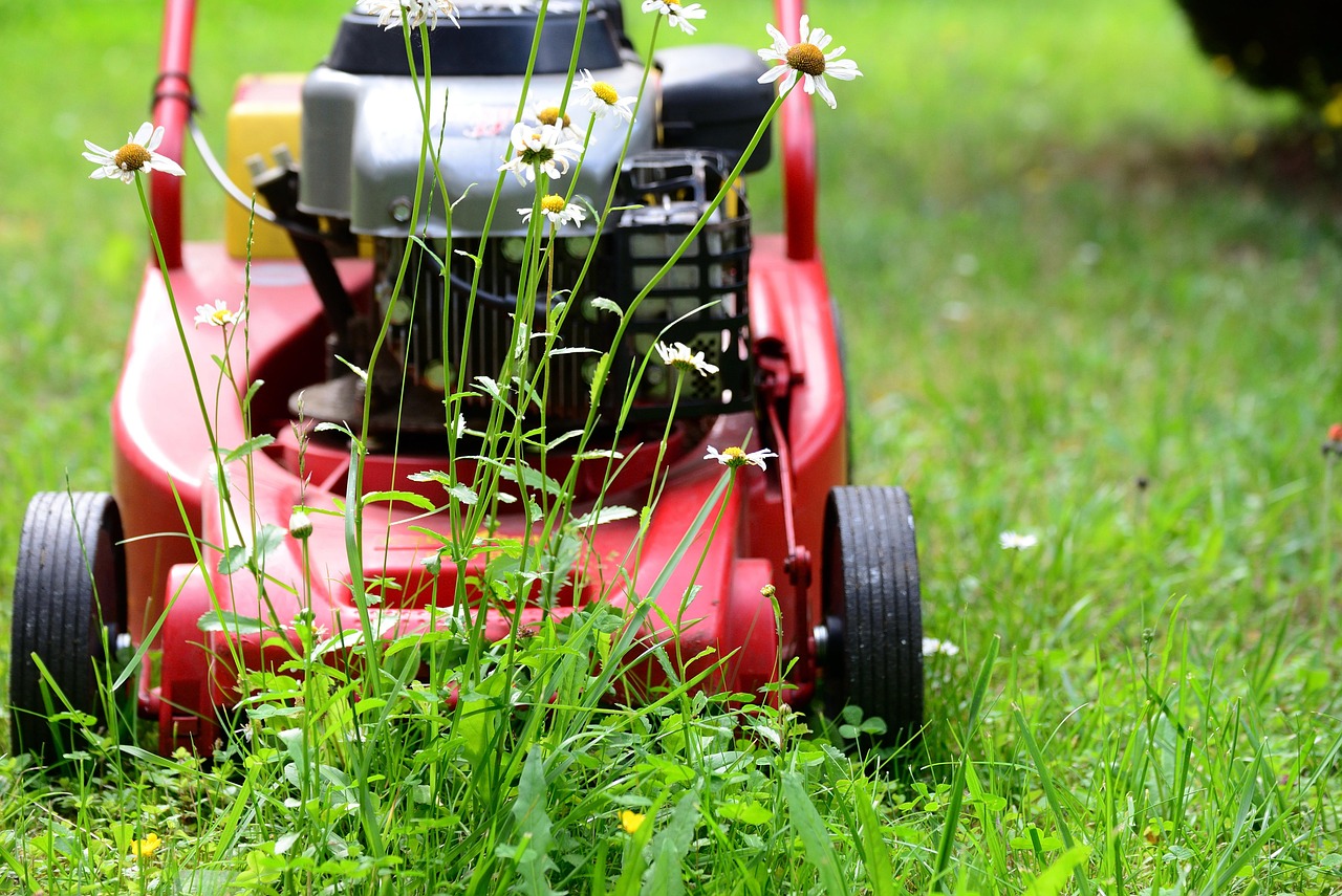 professional-lawn-mower-repair-denver